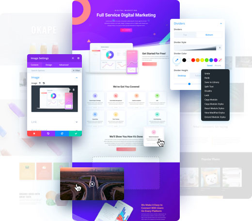 Divi Theme